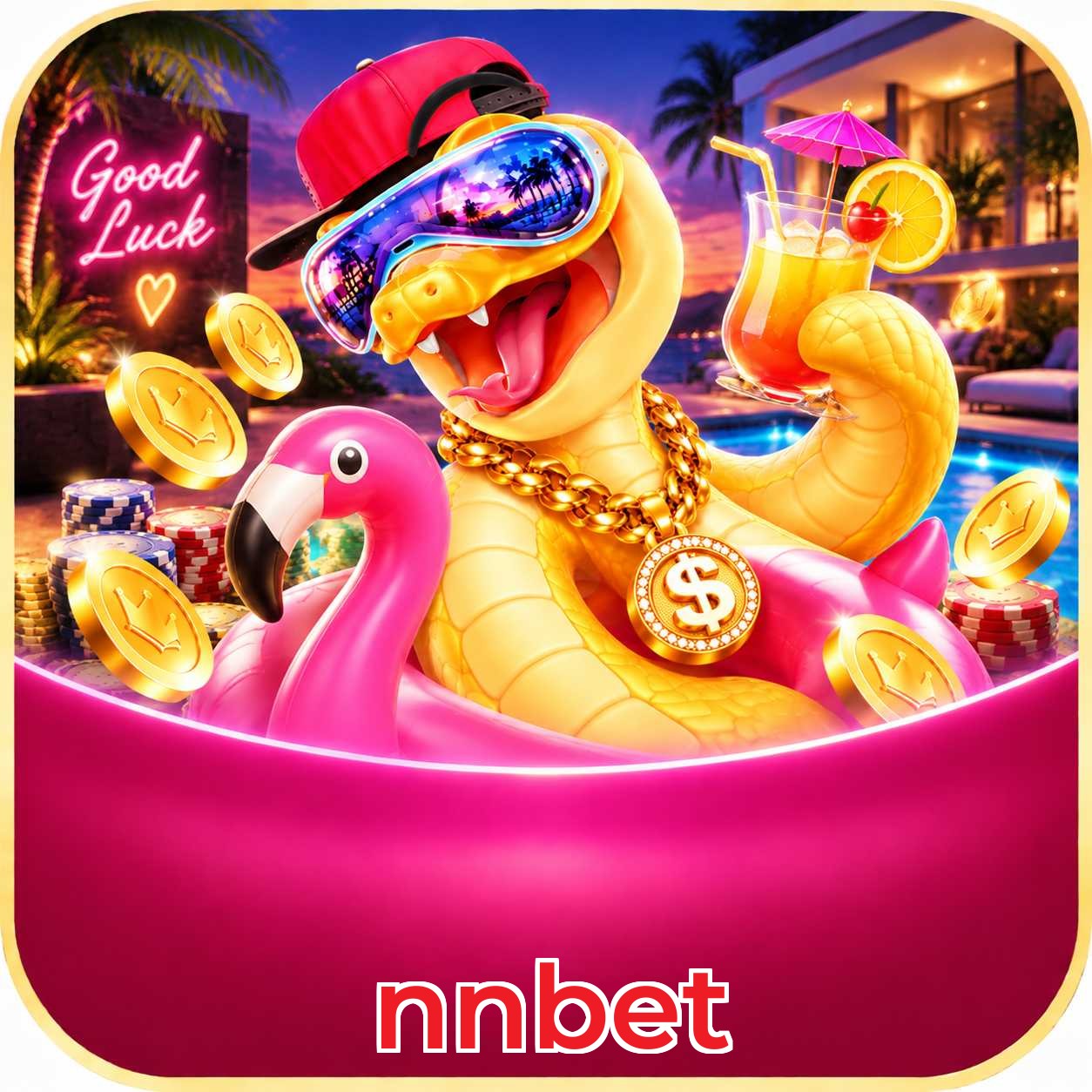 nnbet App vs Web